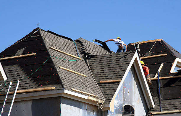 Best Roof Leak Repair  in Chariton, IA