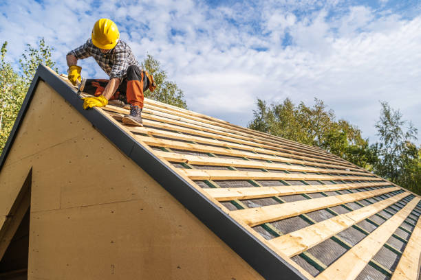Best Roof Maintenance Services  in Chariton, IA