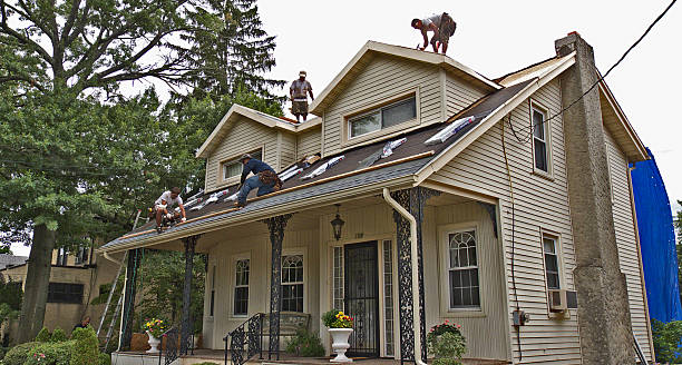 Best Local Roofing Companies  in Chariton, IA